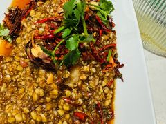 -杨氏青龙虾·羊蝎子(托乐嘉店)