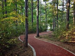 -长春市南湖公园