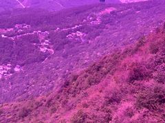 -九皇山景区