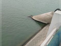 -白鹤梁水下博物馆