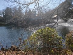 -井之头恩赐公园