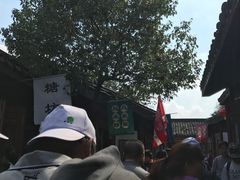 -天目湖山水园