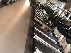 -金吉鸟健身游泳