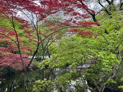 -秋霞圃