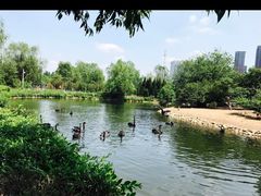 -长白岛森林公园