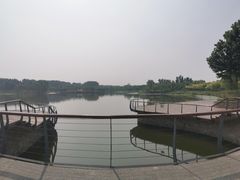 -东郊湿地公园