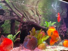 -上海海洋水族馆