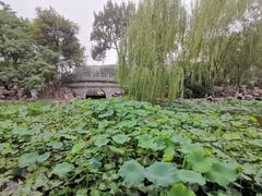 -莲湖公园