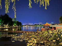 -济南大明湖景区