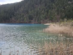 -九寨沟-树正沟