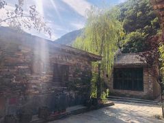-牛背梁国家森林公园