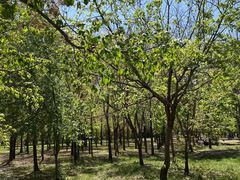 -长春公园(普阳街道)