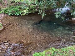 -水磨沟环境自然保护区