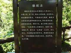 -阳台山自然风景区