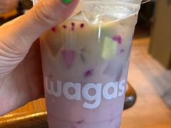 -Wagas沃歌斯(合生汇店)