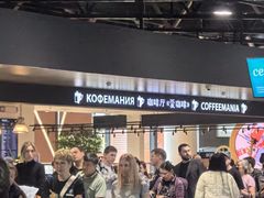 -谢列梅捷沃国际机场