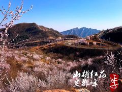-定都峰