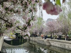 -元大都城垣遗址公园