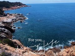 -广东惠东海龟国家级自然保护区