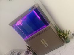 点击看大图 -海涛医疗美容·面部抗衰·注射美鼻