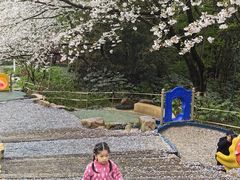 -杭州少年儿童公园