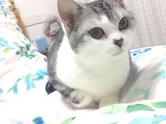 -睿金宠物医院·CT·肿瘤·骨外科