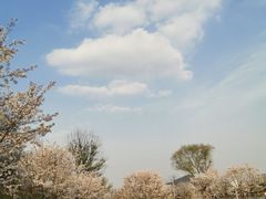-羊山湖公园