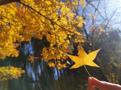 -首都师范大学(良乡校区)