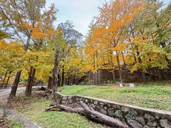 -阳台山自然风景区
