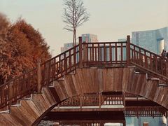 -五缘湾湿地公园