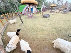 -茅山东方盐湖城景区