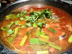 老凯俚酸汤鱼-野山舂·贵州现舂酸汤火锅(鸿通城店)