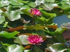 -国家植物园南园