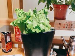 -九田家黑牛烤肉料理(溧阳吾悦店)