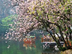 -星湖旅游景区七星岩