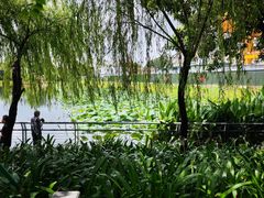 -东山湖公园