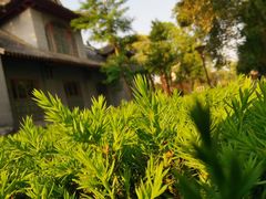 -四川大学(华西校区)