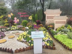 -南山植物园