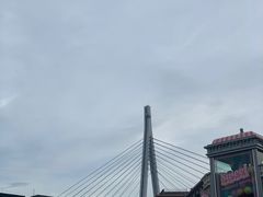 -飞天翼龙