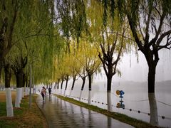 -天鹅湖体育公园