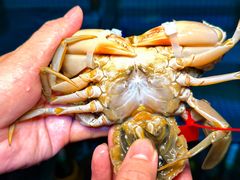 -三妹小龙虾·黄油蟹(华侨城总店)