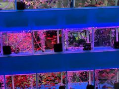 -三旗百汇商品城