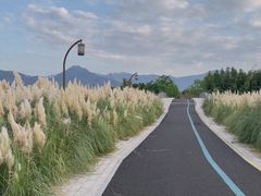 -三垟湿地