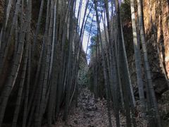 -崀山风景名胜区