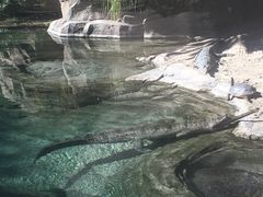 -圣地亚哥动物园