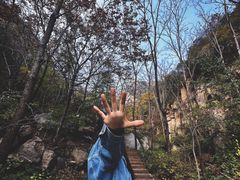 -大岭沟猕猴桃谷风景区