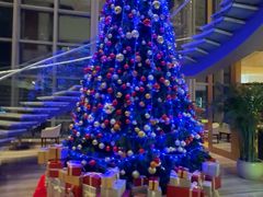 -视界美食自助餐厅·石家庄希尔顿酒店