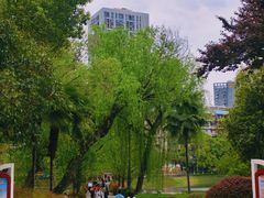 -宝岛公园
