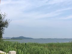 -太湖湖滨国家湿地公园-停车场