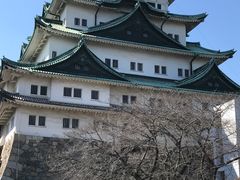 -名古屋城